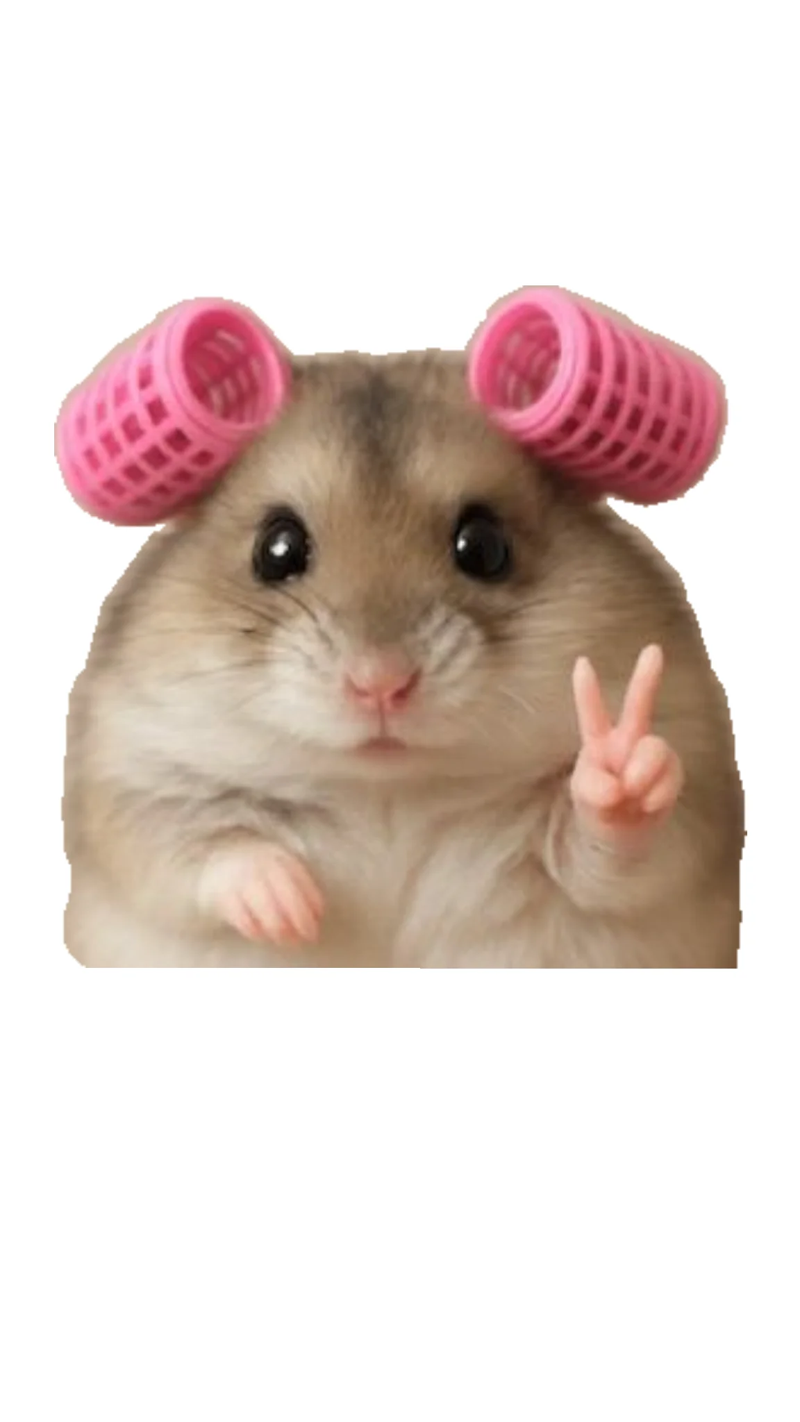 sayliw