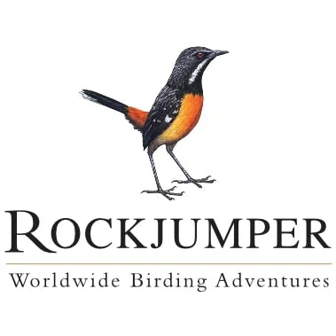 rockjumpertours