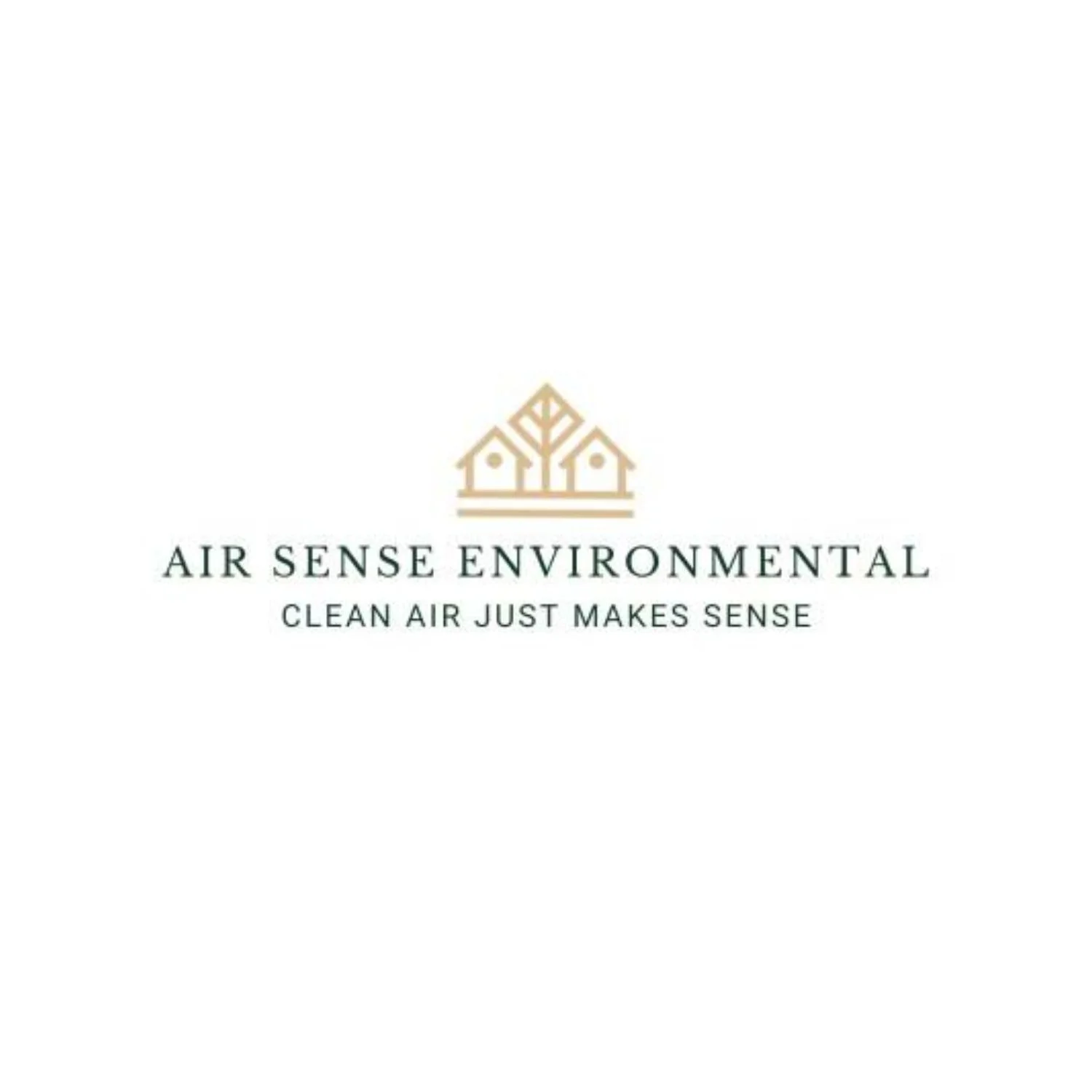 airsenseenviromental