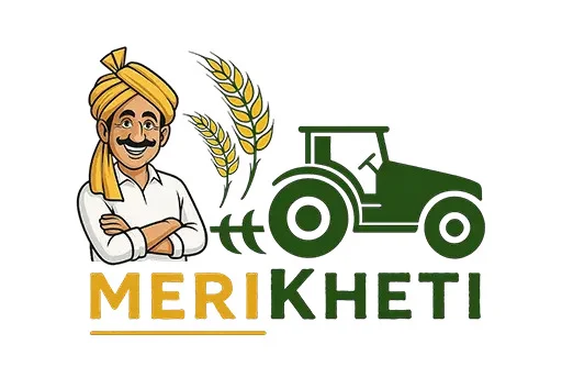 merikheti