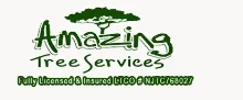 amazingtree