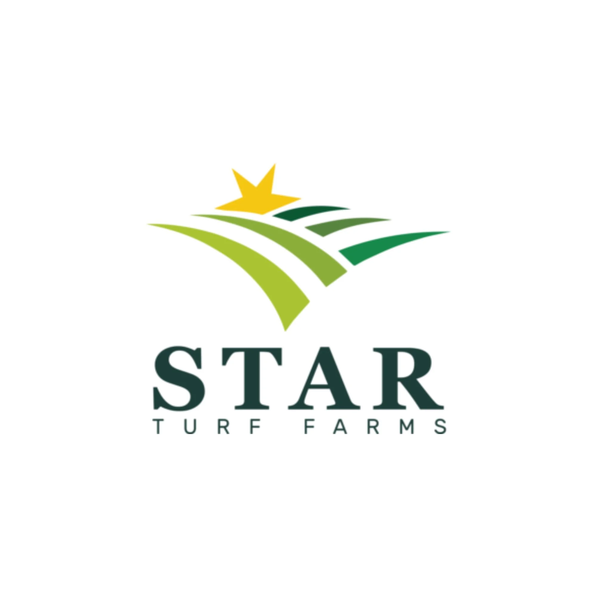 Startruf
