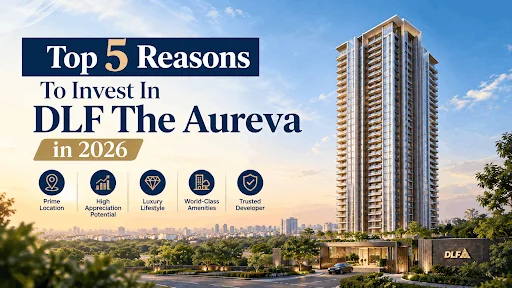 dlf-theaureva