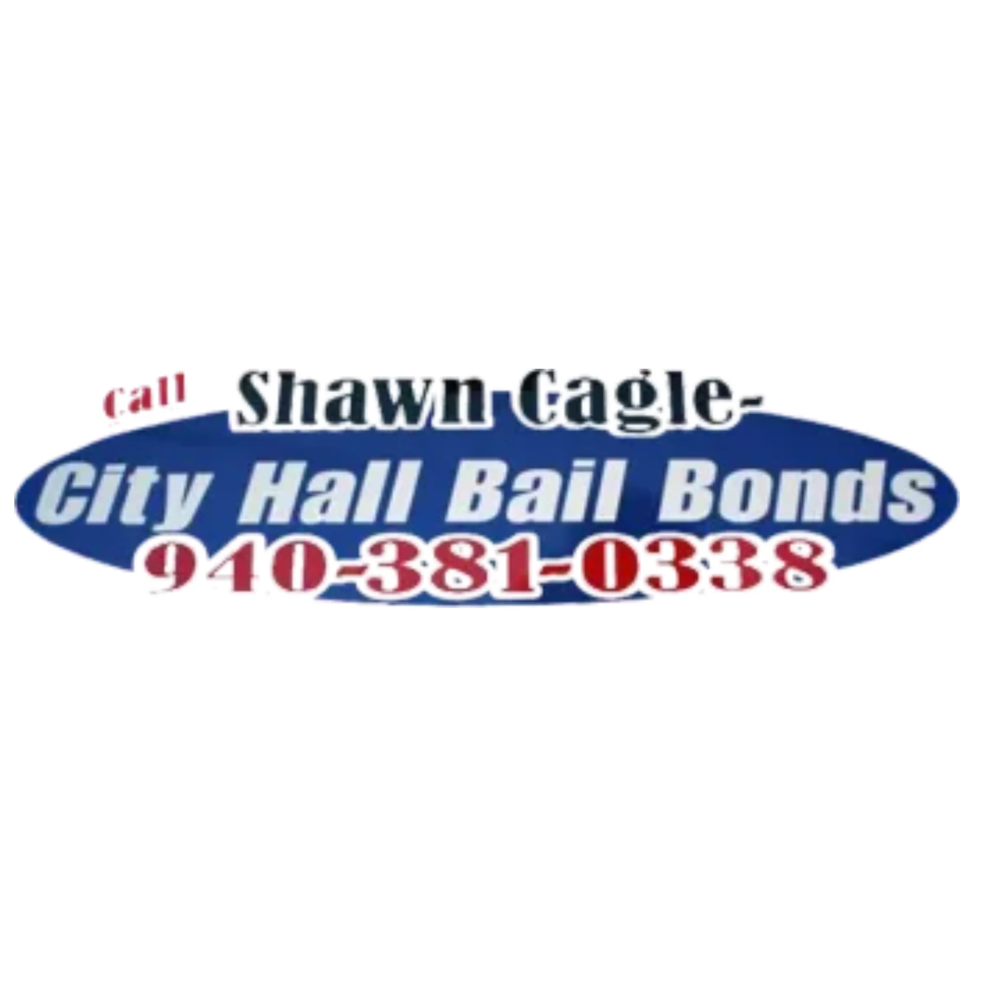 cityhallbailbonds
